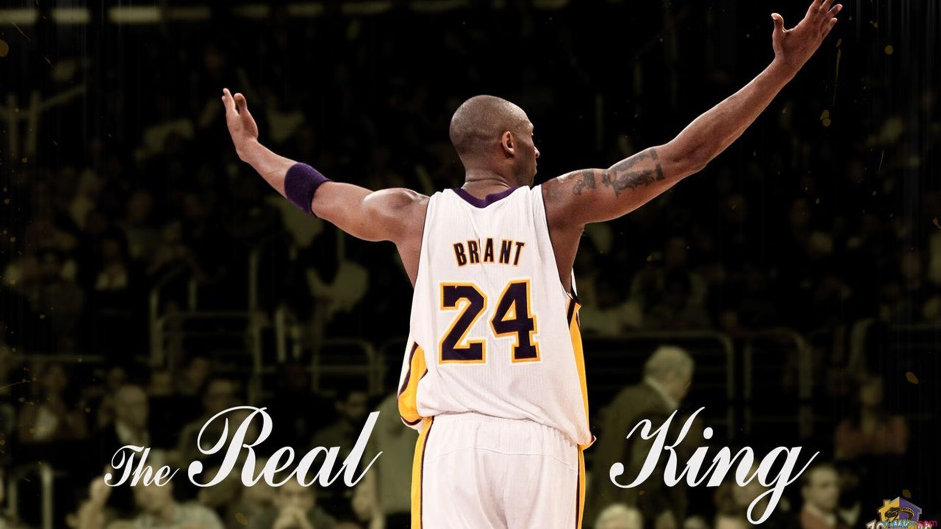 世界杯激情狂潮：精彩精彩，永不停歇！，世界杯之吻