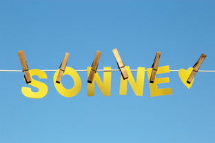 体育新闻中心公告全国夏季赛事气象应急预案，赛事应急预案模板